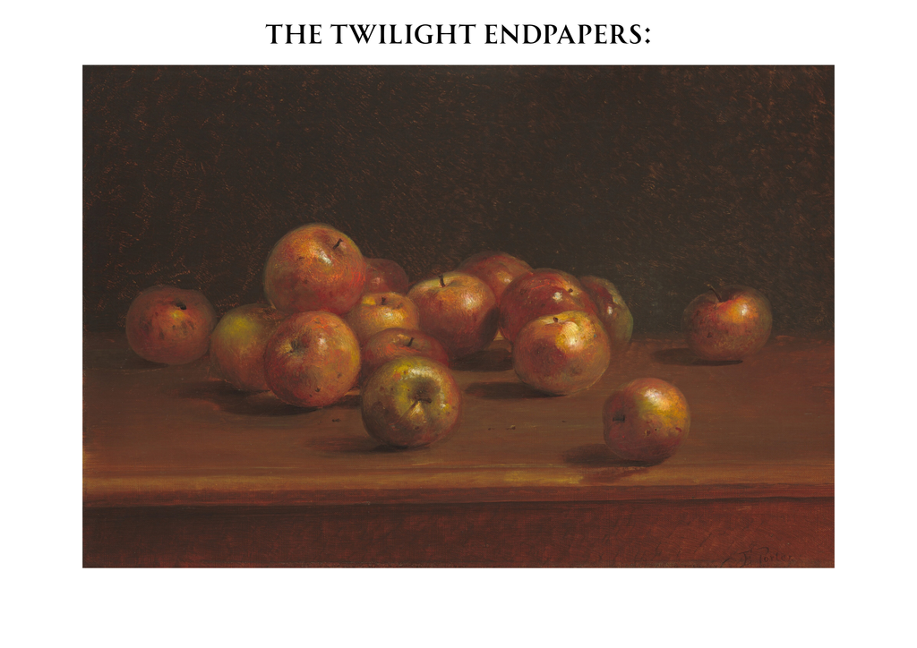 Twilight handmade rebind