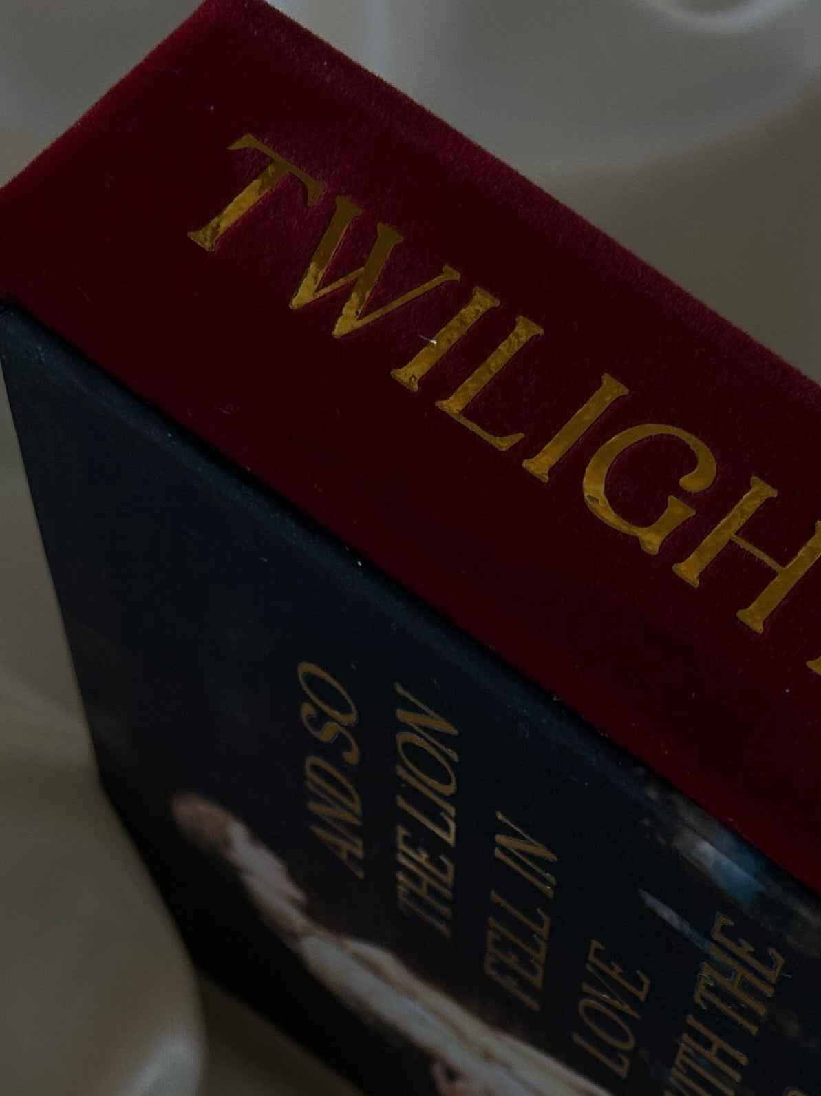 Twilight handmade rebind